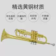 Jinbao JBTR-400 nhạc cụ nhỏ vàng bạc thả B tông chính thức ba giai điệu bắt đầu đầy đủ sơn đồng vàng - Nhạc cụ phương Tây