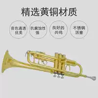 Jinbao JBTR-400 nhạc cụ nhỏ vàng bạc thả B tông chính thức ba giai điệu bắt đầu đầy đủ sơn đồng vàng - Nhạc cụ phương Tây đàn nguyệt cầm