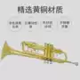 Jinbao JBTR-400 nhạc cụ nhỏ vàng bạc thả B tông chính thức ba giai điệu bắt đầu đầy đủ sơn đồng vàng - Nhạc cụ phương Tây đàn nguyệt cầm