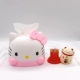 Pink KT Pucking Box