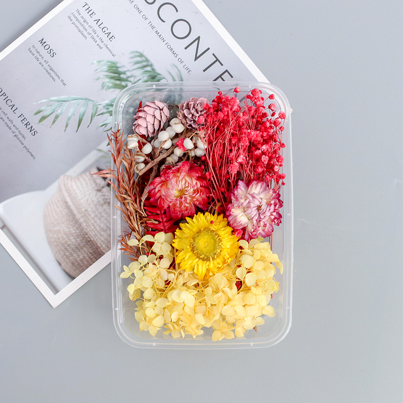 Colorful / Dry Flower Boxbeautiful Mu son Mixed pack diy Hand made decorate Immortal flower Dried flower Set meal Material Science diy Photo frame Flower wood Embossed bag