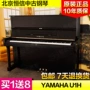 [Boutique] Nhật Bản nhập khẩu lựa chọn Đàn piano cũ Yamaha Piano YAMAHA U1H - dương cầm piano cơ