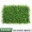 Nhà máy mô phỏng tường cây xanh tường trang trí nền giả cỏ nội thất cửa nhựa hoa cỏ tường treo hình ảnh tường - Hoa nhân tạo / Cây / Trái cây