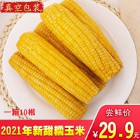 10 2021 Новый желтый сладкий клейкий аромат кукурузы и свежий липкий вакуум на северо -восток липкий рисовый стержень не -ротарный