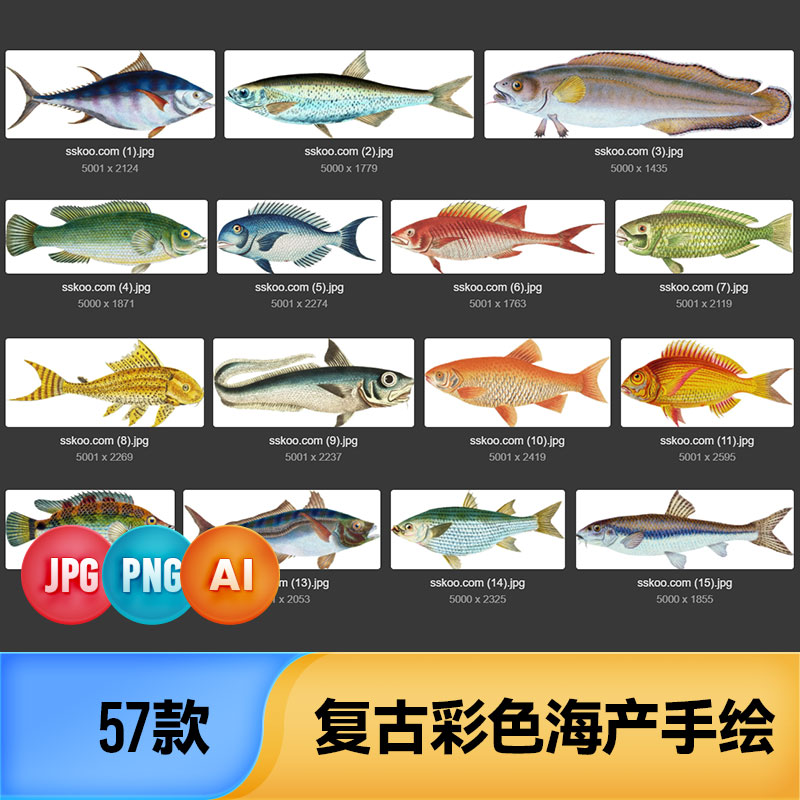 复古彩色写实手绘海产水产河流海洋鱼类插画AI矢量图PNG设计素材