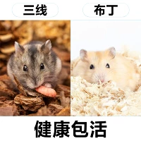 Три -линии+пудинг