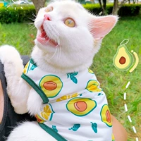 Прохладное летнее тонкое фруктовое масло