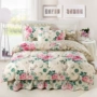 Mùa hè đặc biệt bốn mảnh cotton cotton bed bed bed bed cover 1.2 1.5 1.8 2 m bộ đồ giường - Váy Petti váy giường