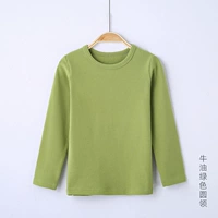 Авокадо Грин