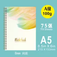 A5 Manual ledger (5)