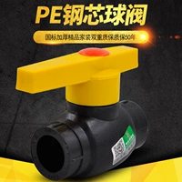 Клапан клапана клапана PE Steel Core Core Care 20 4: 25 6: 32 1 дюйм PE