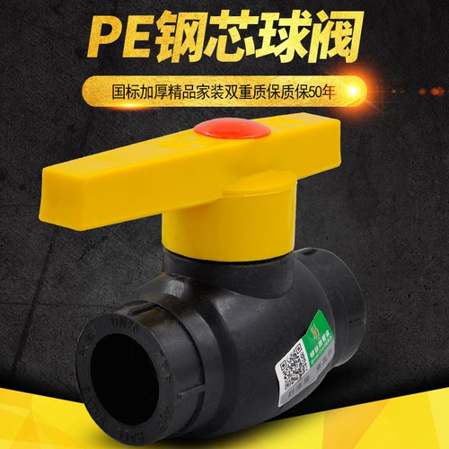 Клапан клапана клапана PE Steel Core Core Care 20 4: 25 6: 32 1 дюйм PE