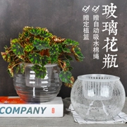 Lớn đơn giản thủy canh cây thủy tinh bình container bể cá thủy canh màu xanh lá cây bình tròn bàn hoa chậu - Vase / Bồn hoa & Kệ