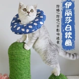 Элизабет кошка кошка горькая и облизывая, с учетом мягких рук кошка кошка и домашние животные поглощают стыд стыд Круг мягкий круг