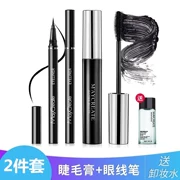 Mascara Mascara Makeup 2 Piece Set Không thấm nước, thấm mồ hôi, bền màu, không nở, dễ tạo màu, người mới bắt đầu xác thực