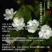 Wei Yue Xin Li Xia Fang điều trị bằng nước hoa tinh dầu 8ML