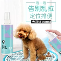 Golden Curvi Puppie Кошелек Продукция Тренировка на туалете. Небольшой плохой плохой лечение для лечения собаки Позиция