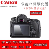 Canon 70D 80D 600D 700D 750D 5D3 5D4 камера пленка SLR камера пленка стальная пленка