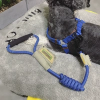 Королевский синий