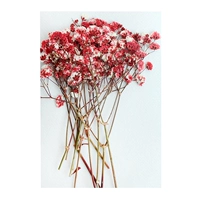 Розовый, 4-9см