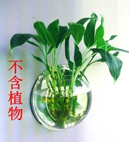 150mm, зеркальный эффект