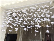 Tùy 
            Chỉnh Lãng Mạn Lông Vũ Đính Hạt Màn Dính Móc Vòm Mềm Mại Phân Vùng Hiên Cửa Sổ Trần Phòng Khách Cửa Cưới Trắng mành cửa hạt gỗ