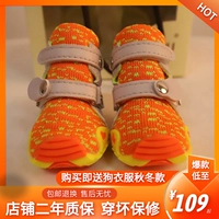 DJJ Sherry Shoes Special Dogs