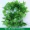 Mô phỏng nho xanh lá trang trí hoa giả mây bán buôn trong nhà giả lá xanh lá lớn cây xanh dây leo - Hoa nhân tạo / Cây / Trái cây