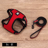 Фэнтези -красный грудь+тяговая веревка