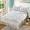 Bedspread giường váy một mảnh dày một năm 5 1 8 tám bộ của tạp dề bảo vệ bụi giường 1.8x2.0 m nhân với 2,2 m2 - Váy Petti