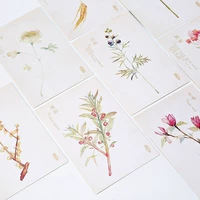 Ручная трава (прозрачная упаковка мешка)