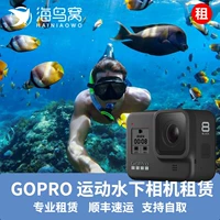 GoPro Hero8 Black Sea Bird