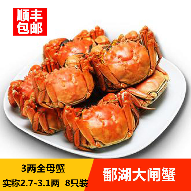 江西特产九江鄱阳湖®大闸蟹8只全母3.5两 特大鲜活螃蟹礼品盒