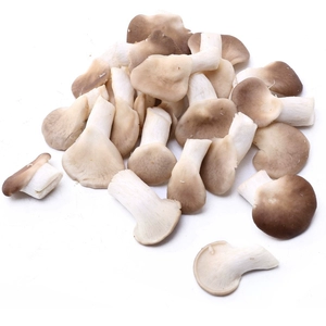 [Бактерии] Xiuzhen Mushroom 250 г/порция