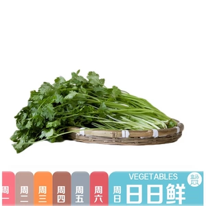 Кориандр 50 г (Hema Daily Fresh)