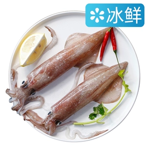 [#冷冻东海海捕脆脆鱿鱼1条(单条300g起)]