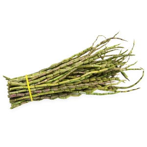 Гриб -писатель Дендробиум officinale 100g