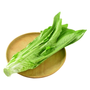 [云南高原油麦菜 250g（高山鲜）]