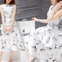 2019 ga châu Âu mùa hè mới của phụ nữ phiên bản Hàn Quốc in trong đoạn váy dài không tay thắt eo là váy chữ A mỏng - A-Line Váy mẫu váy xòe đẹp 2020