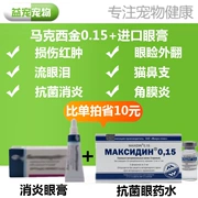 Châm cứu mũi mèo Makxijin 0.15 thuốc trị liệu nhỏ mũi Thuốc nhỏ mắt mèo herpes virus mèo mũi 2 - Thuốc nhỏ mắt