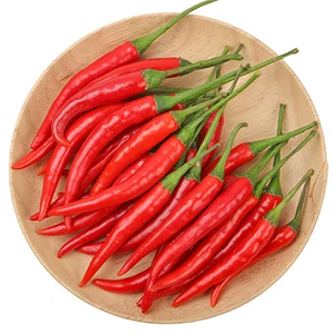 [小米椒50g]