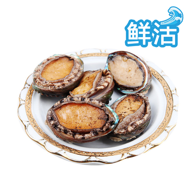 [鲜活鲍鱼 6个/盒（20g以上/个）]