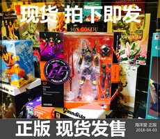 Куклы и фигурки 海洋堂 山口式 新世纪福音战士