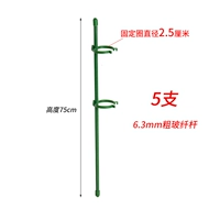 75 см в высоту [5 ветвей] дают 10 фиксированных пряжек