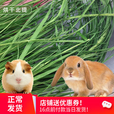 Кролик кролик Хей 烘干北提提摩西牧草干草新草宠物兔龙猫荷兰猪天竺鼠草饲料