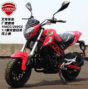 Tyrannosaurus nhỏ có thể ở trên đường chân trời moto xe máy thể thao xe đường phố 150cc đầu máy xe máy nhỏ quái vật - mortorcycles