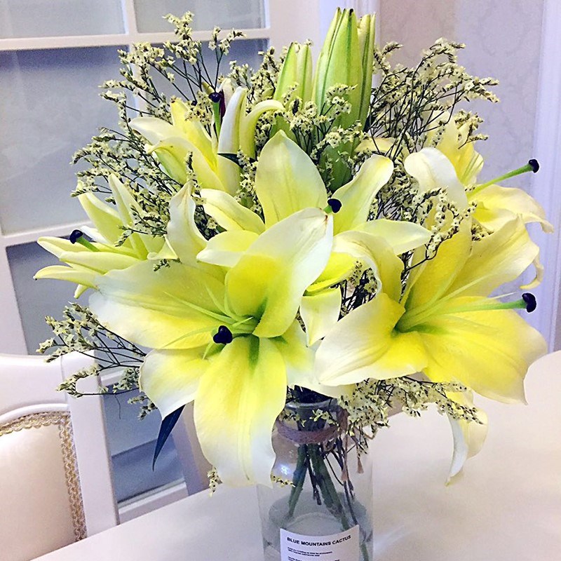 鲜花百合十朵家中黄色速递直发混合色白色桌子上空运十朵迅速昆明