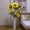 Đặc biệt cung cấp mô phỏng 5 hoa hướng dương hoa giả hoa phòng khách sàn trang trí hoa trang trí hoa lụa hoa khô bó hoa nhựa - Hoa nhân tạo / Cây / Trái cây