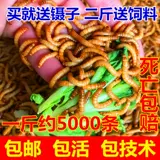 Арагонская федерация арагона