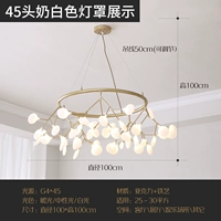 Раунд 45 голов (белый свет)